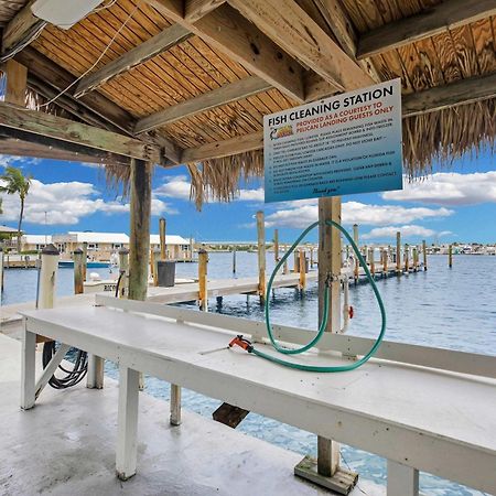 St Kitts - Downtown Waterfront Penthouse Pool Dock Parking Villa Key West Dış mekan fotoğraf